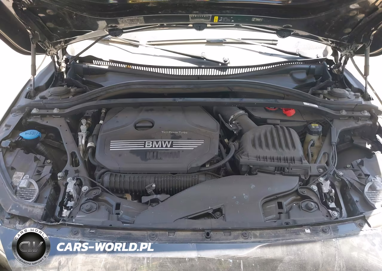 2021 BMW 228I Gran Coupe Sdrive VIN:WBA53AK01M7H78045 - 10