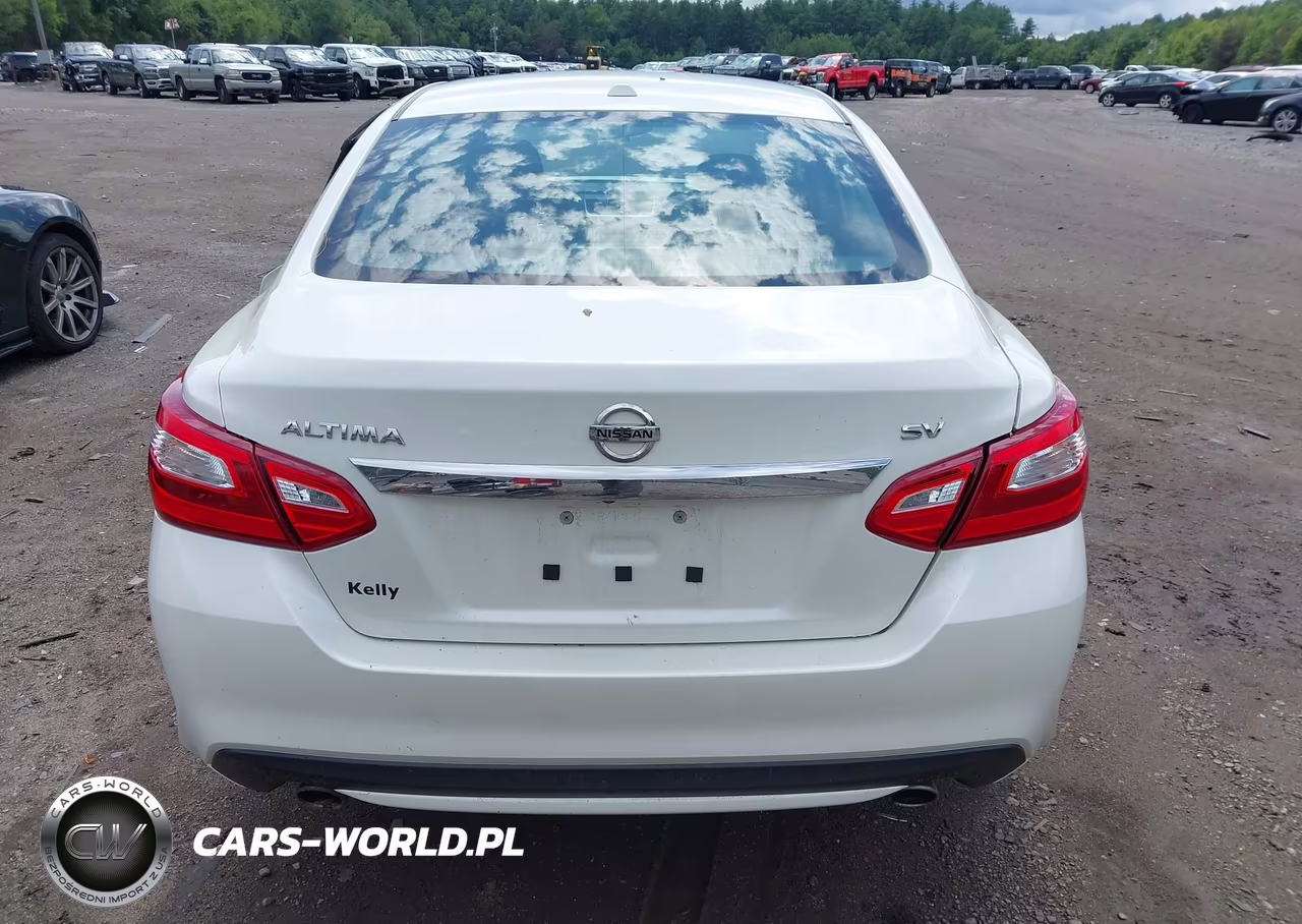 2016 Nissan Altima 2.5 Sv VIN:1N4AL3AP0GC257571 - 17