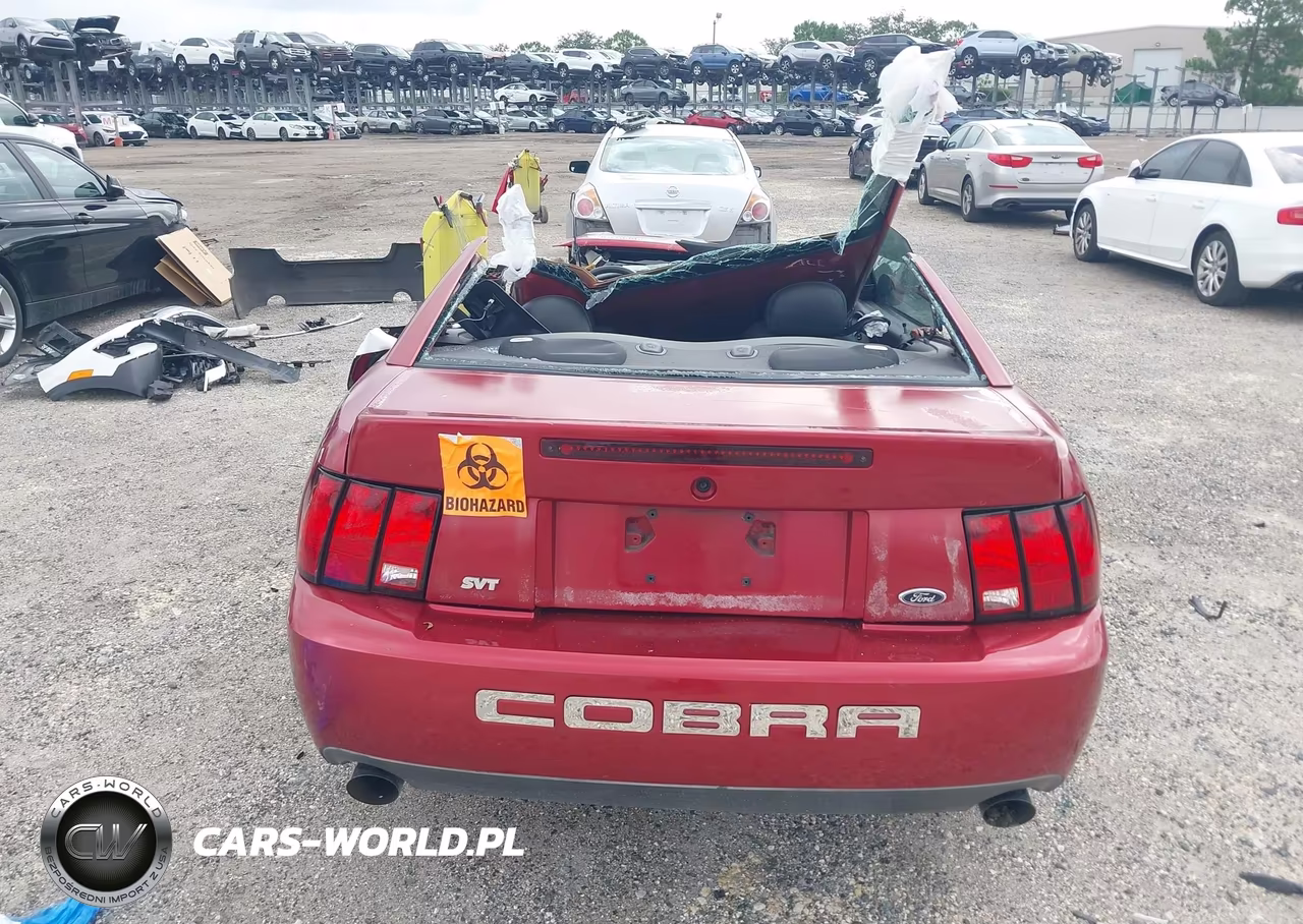 2004 Ford Mustang Cobra VIN:1FAFP48Y54F217415 - 16