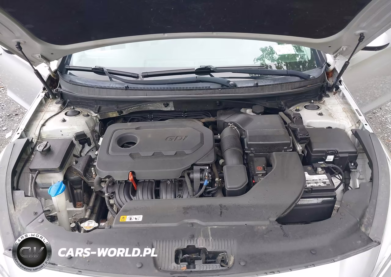 2017 Hyundai Sonata VIN:5NPE24AF6HH573431 - 10