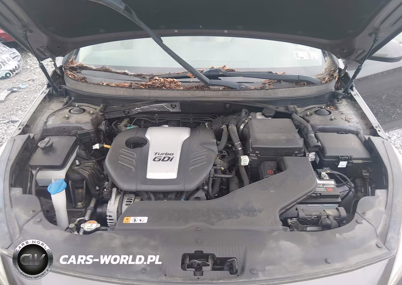 2017 Hyundai Sonata Eco VIN:5NPE24AA4HH455866 - 10