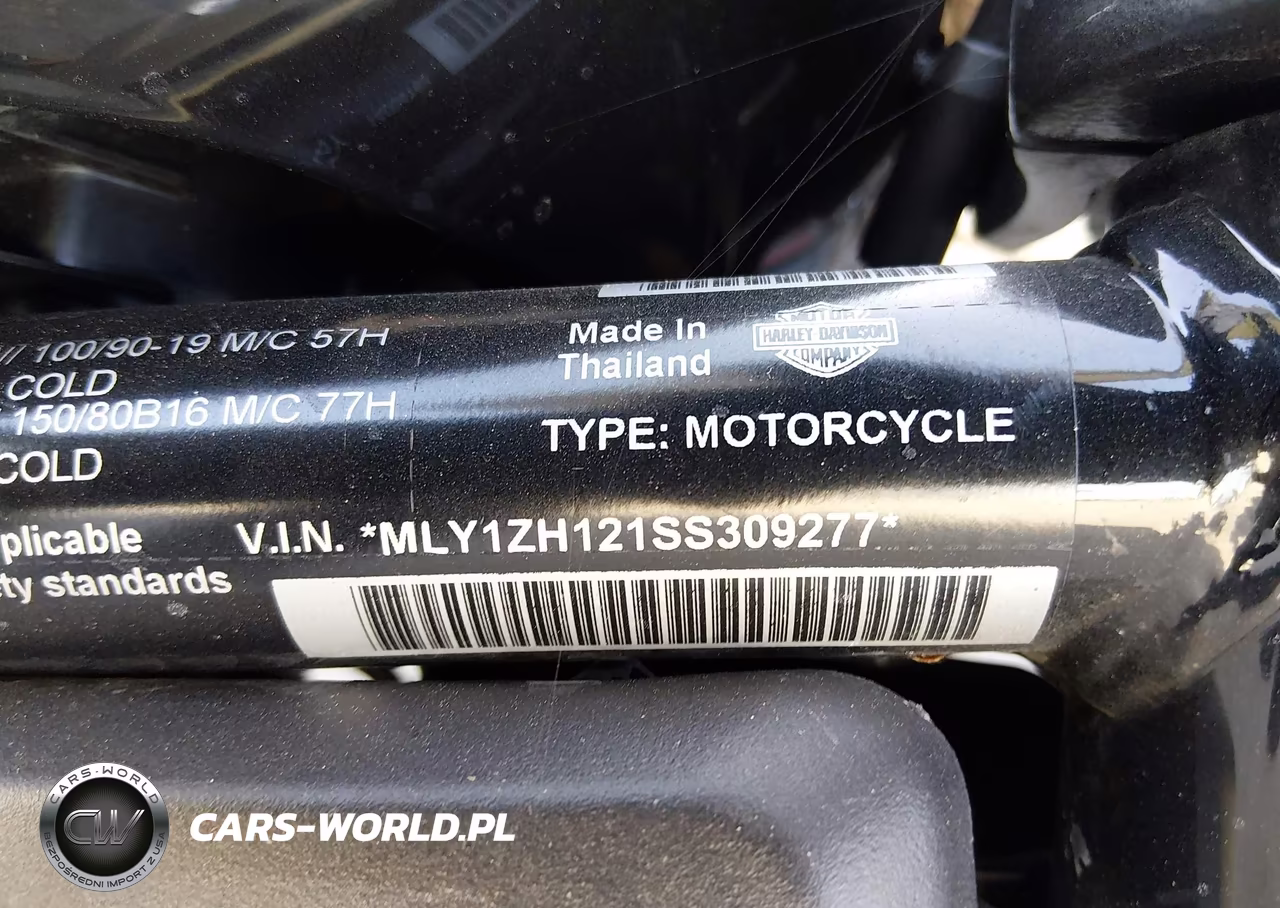 2025 Harley-Davidson Rh975 VIN:MLY1ZH121SS309277 - 10
