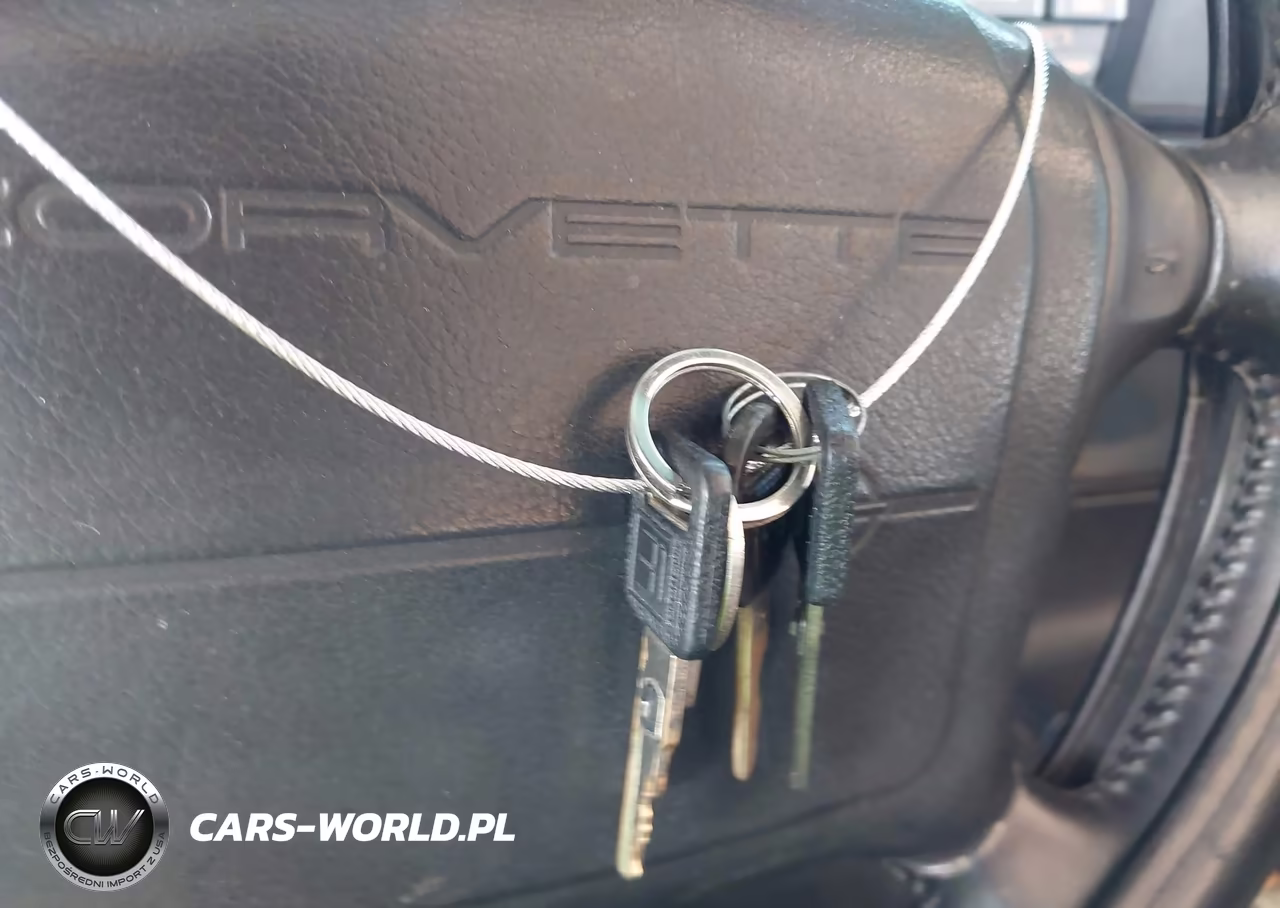 1991 Chevrolet Corvette VIN:1G1YY3388M5116286 - 11