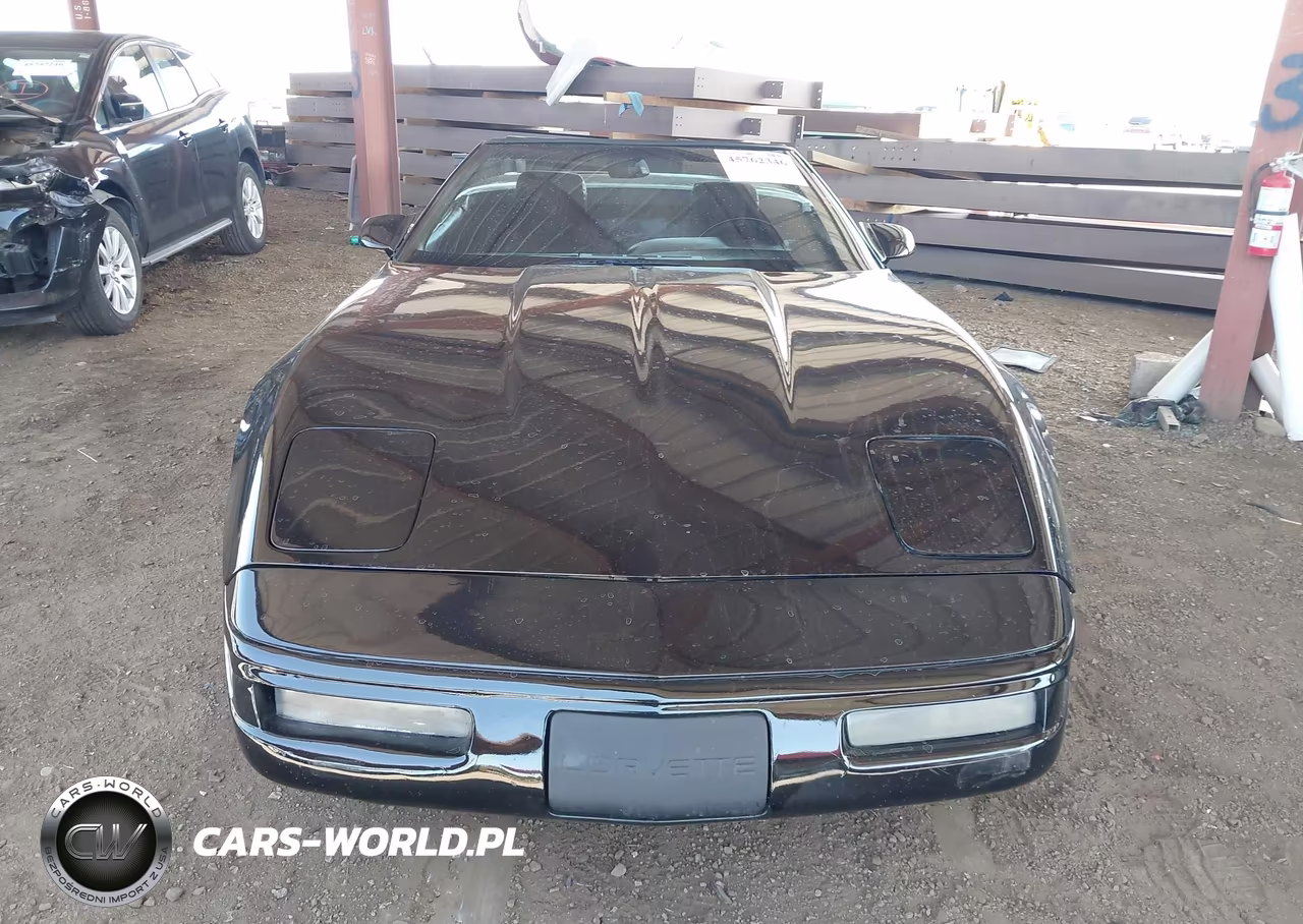 1991 Chevrolet Corvette VIN:1G1YY3388M5116286 - 12