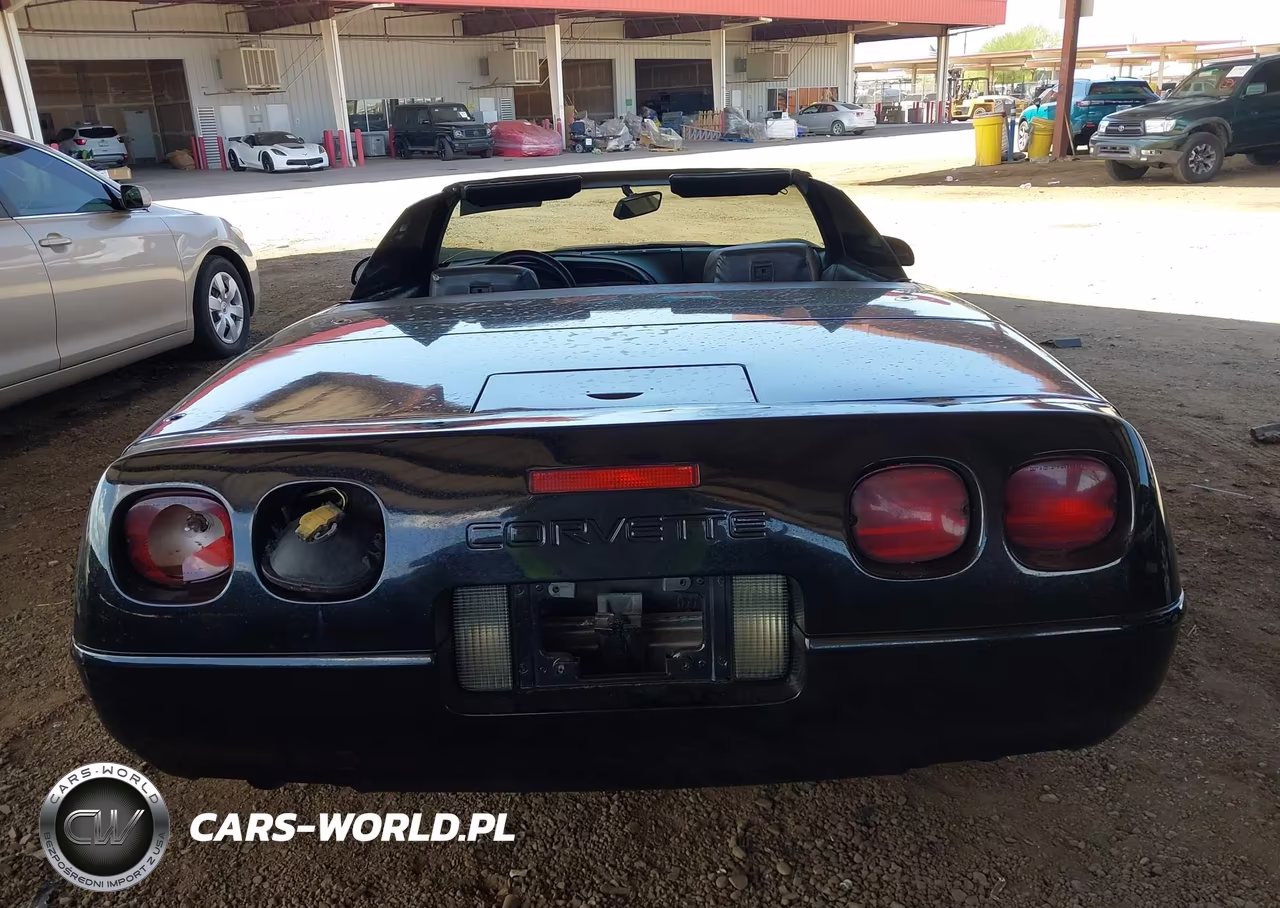 1991 Chevrolet Corvette VIN:1G1YY3388M5116286 - 16