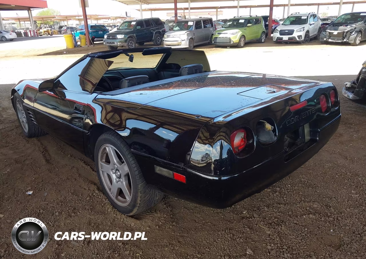 1991 Chevrolet Corvette VIN:1G1YY3388M5116286 - 3