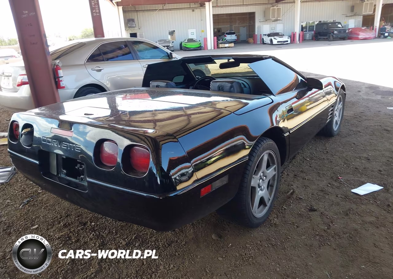 1991 Chevrolet Corvette VIN:1G1YY3388M5116286 - 4