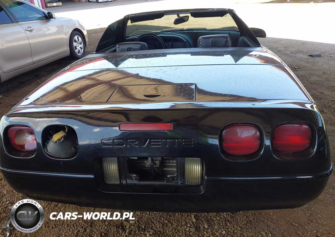 1991 Chevrolet Corvette VIN:1G1YY3388M5116286 - 6