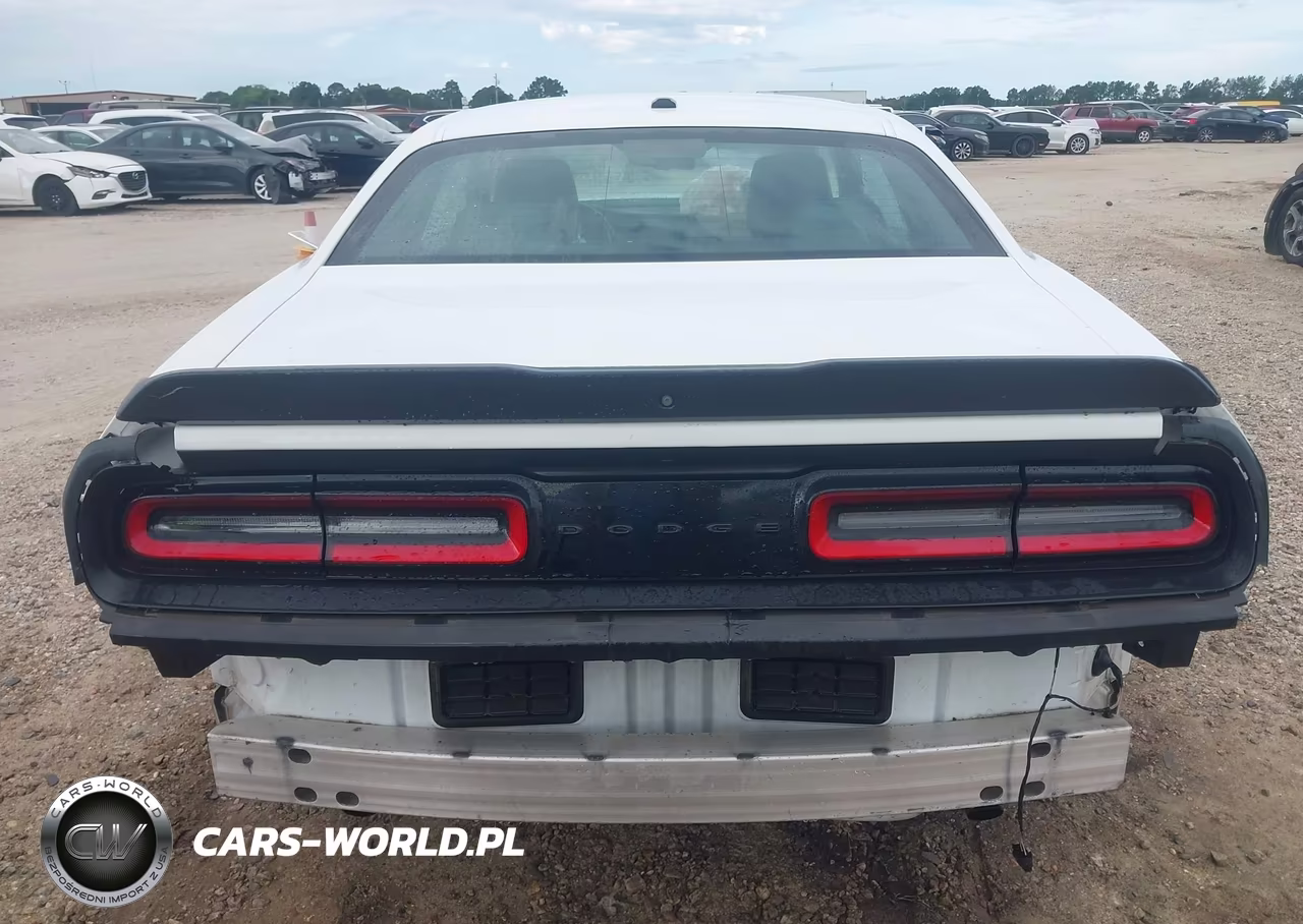 2020 Dodge Challenger Sxt VIN:2C3CDZAG8LH134017 - 17