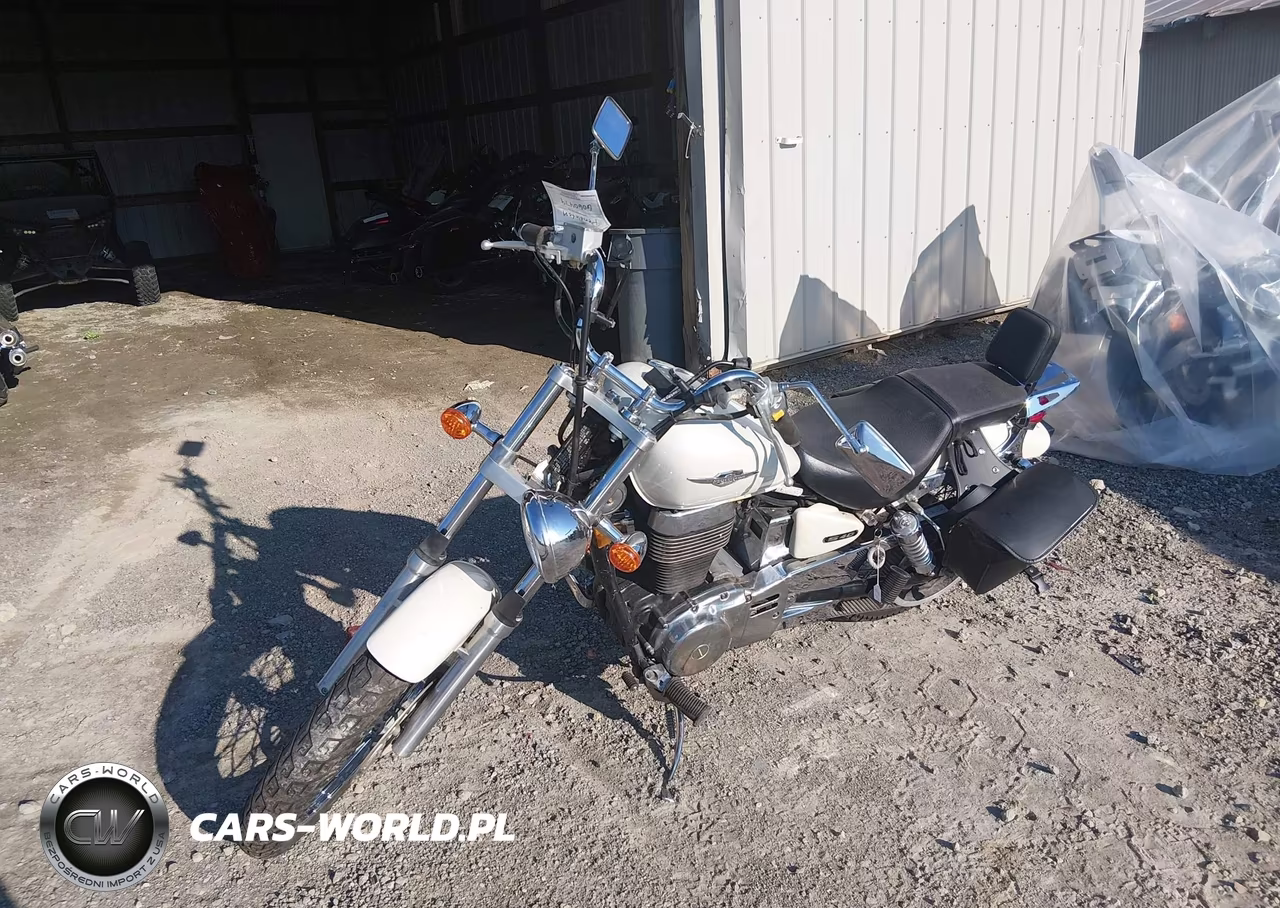 2005 Suzuki Ls650 P VIN:JS1NP41A952102533 - 2