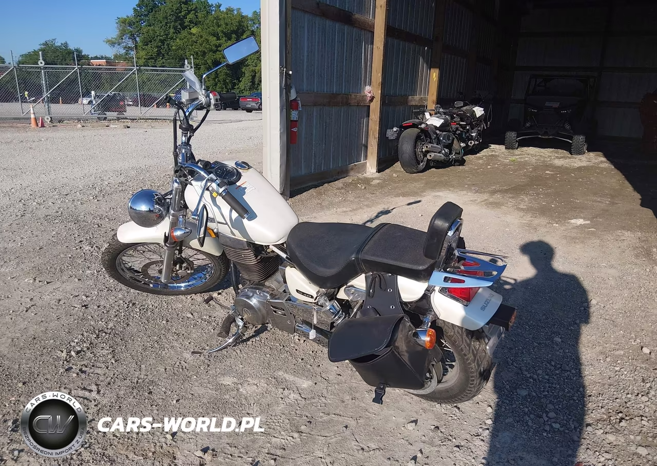 2005 Suzuki Ls650 P VIN:JS1NP41A952102533 - 3