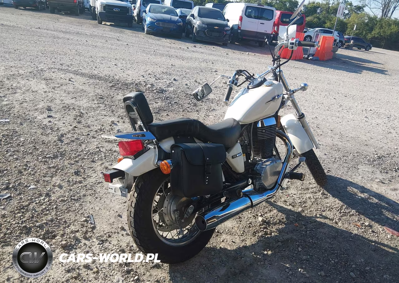 2005 Suzuki Ls650 P VIN:JS1NP41A952102533 - 4