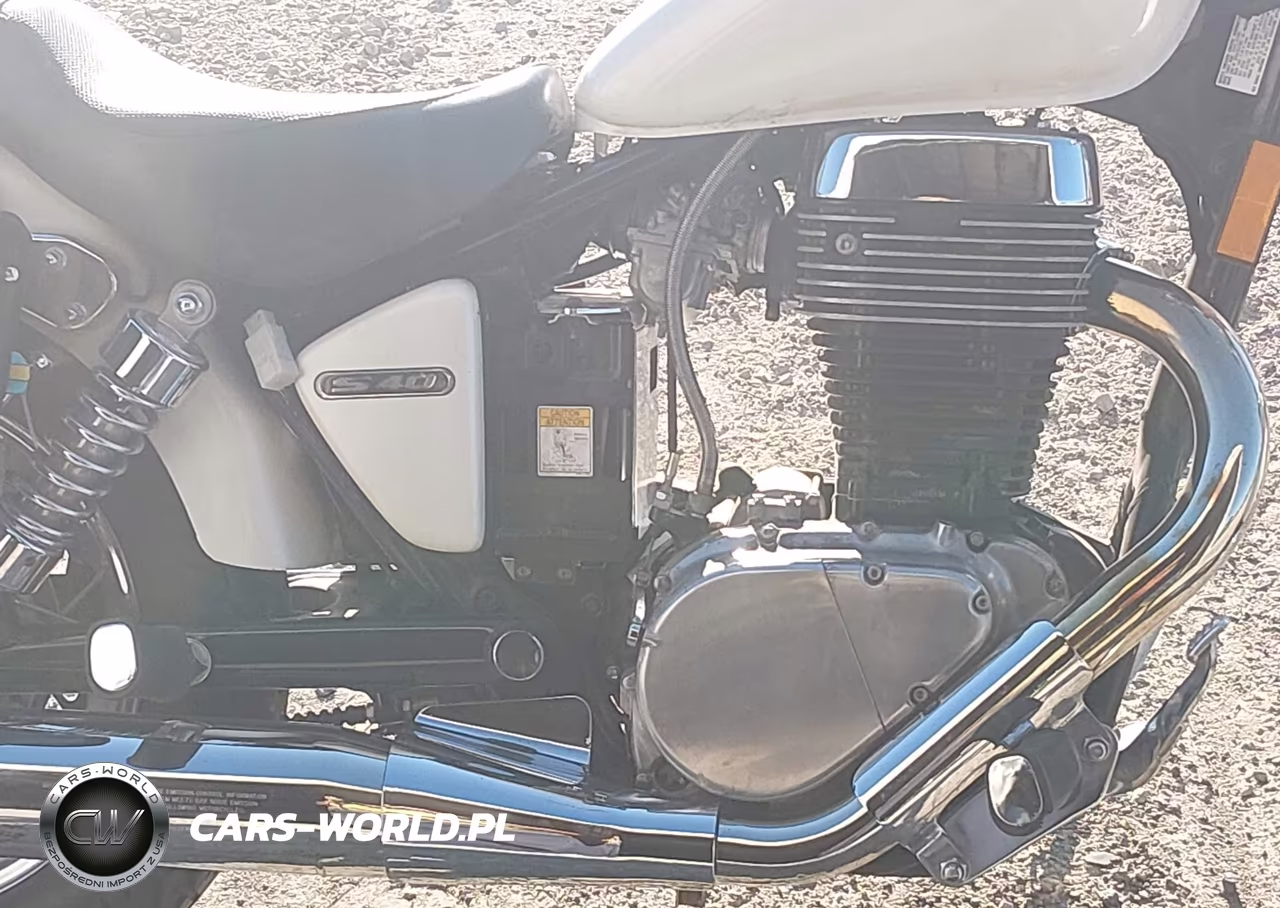 2005 Suzuki Ls650 P VIN:JS1NP41A952102533 - 8