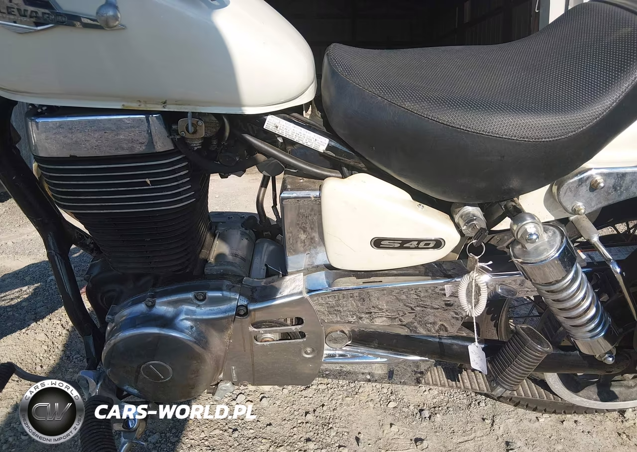 2005 Suzuki Ls650 P VIN:JS1NP41A952102533 - 9