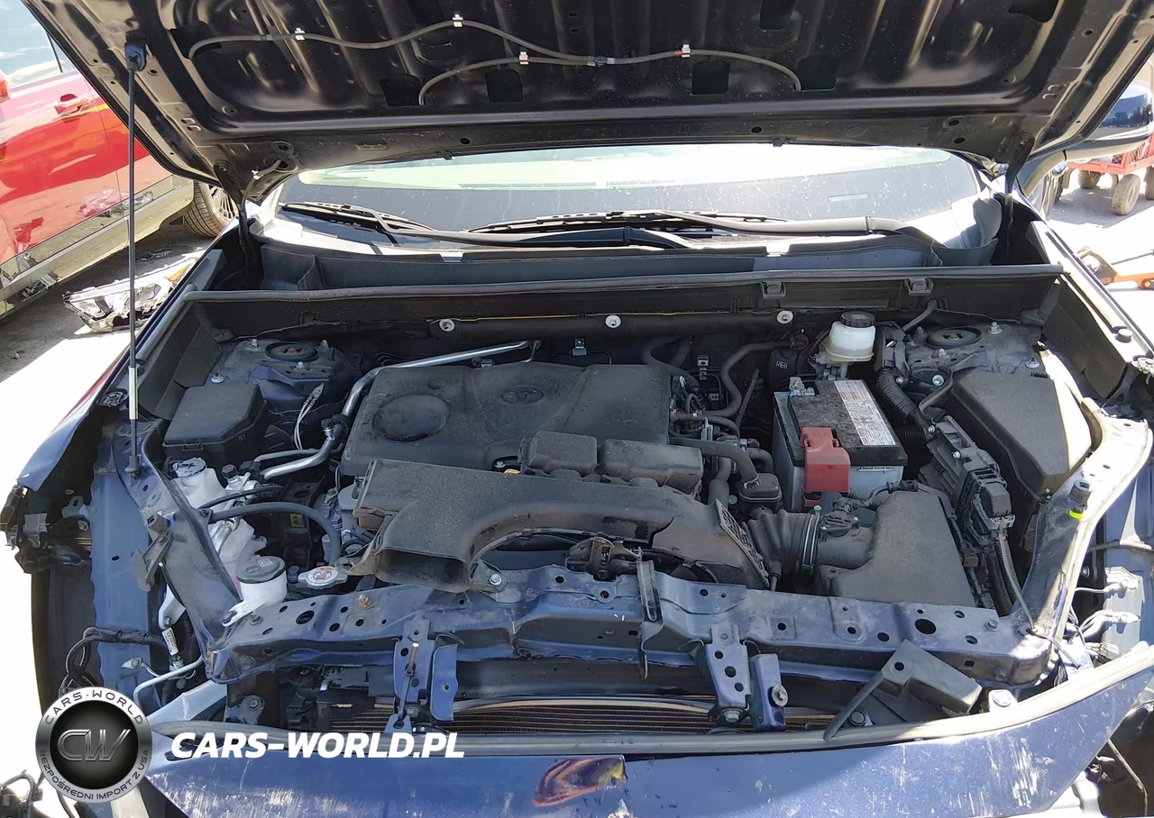 2019 Toyota Rav4 Xle VIN:JTMP1RFV2KJ023943 - 10