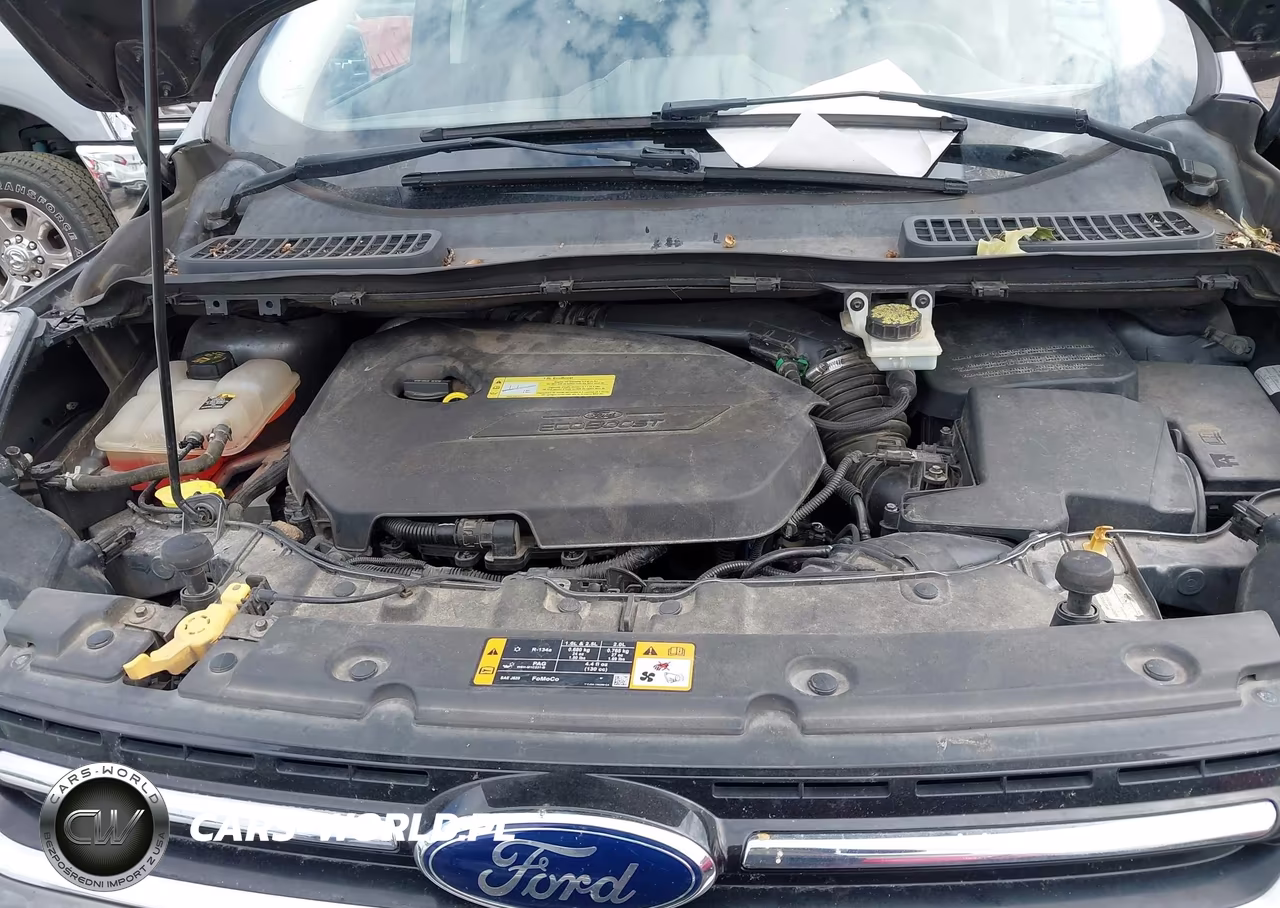 2013 Ford Escape Sel VIN:1FMCU0HX9DUA55236 - 10