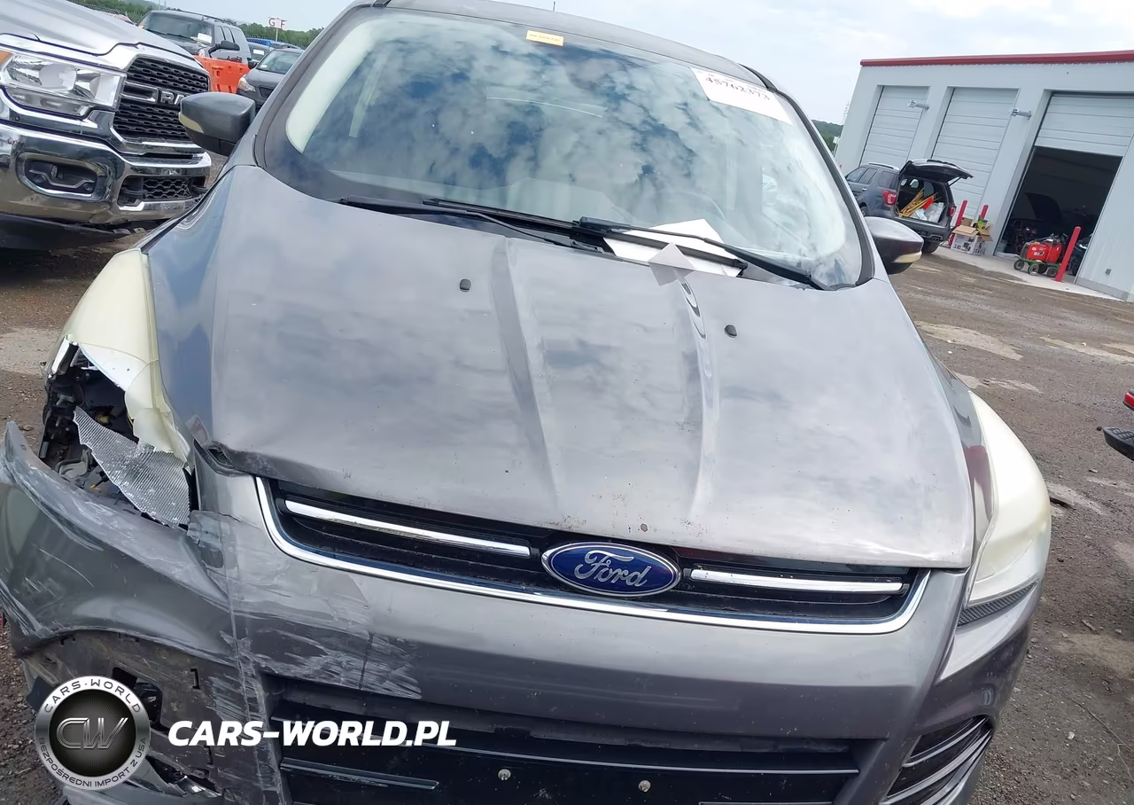 2013 Ford Escape Sel VIN:1FMCU0HX9DUA55236 - 12
