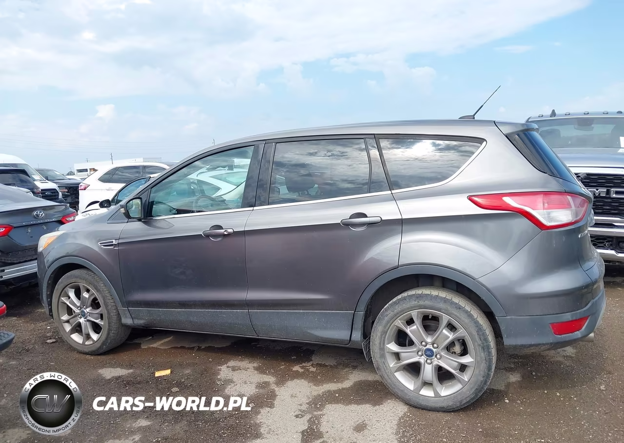 2013 Ford Escape Sel VIN:1FMCU0HX9DUA55236 - 14