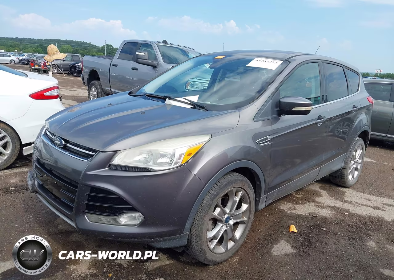 2013 Ford Escape Sel VIN:1FMCU0HX9DUA55236 - 2