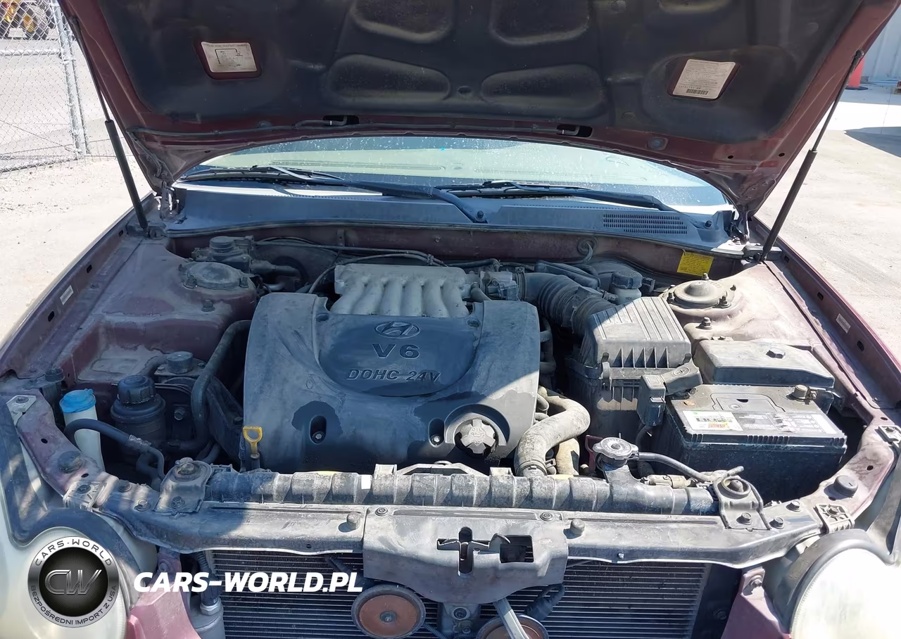 2003 Hyundai Sonata Gls-Lx VIN:KMHWF35HX3A879834 - 10