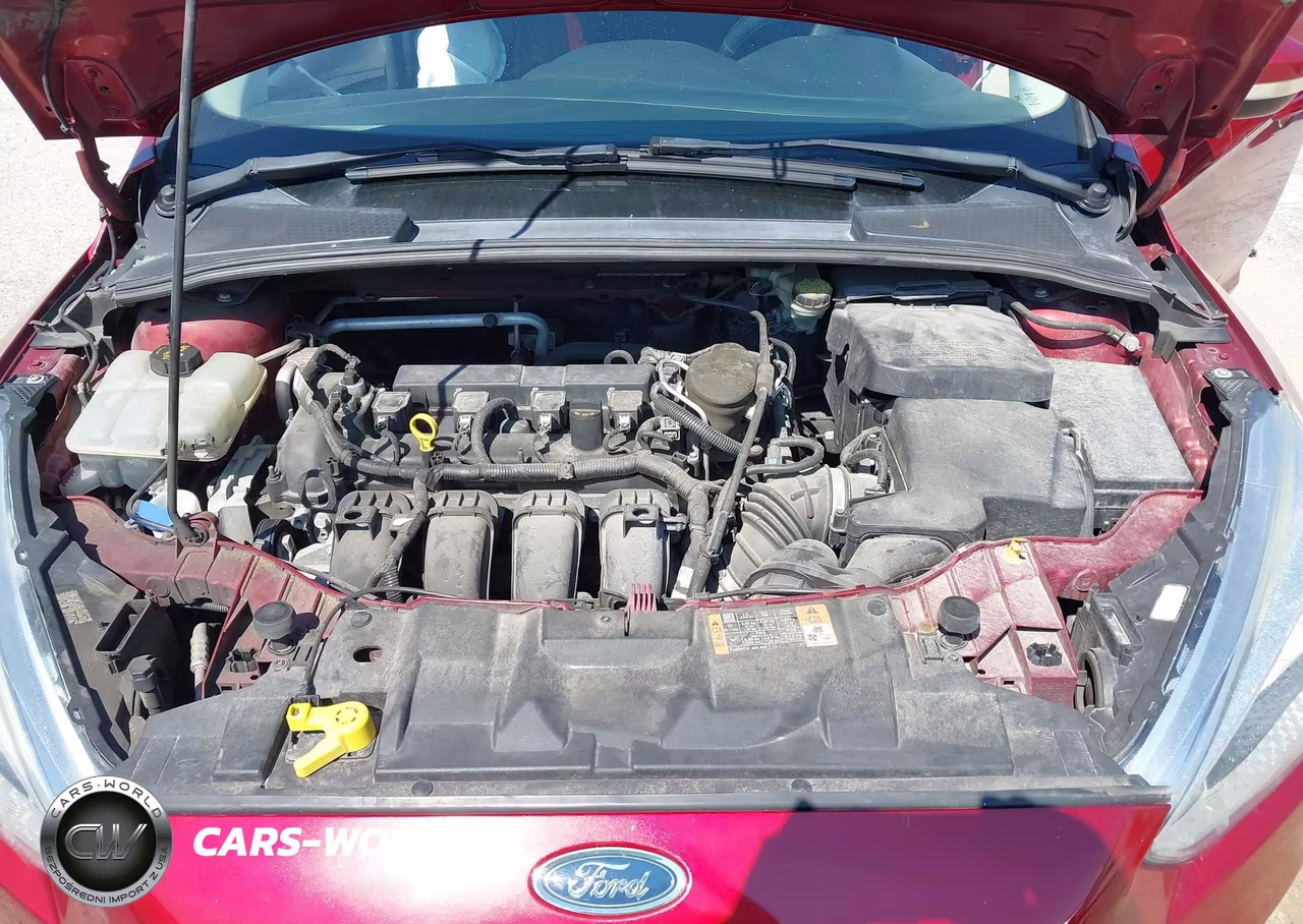 2016 Ford Focus Se VIN:1FADP3K28GL274882 - 10