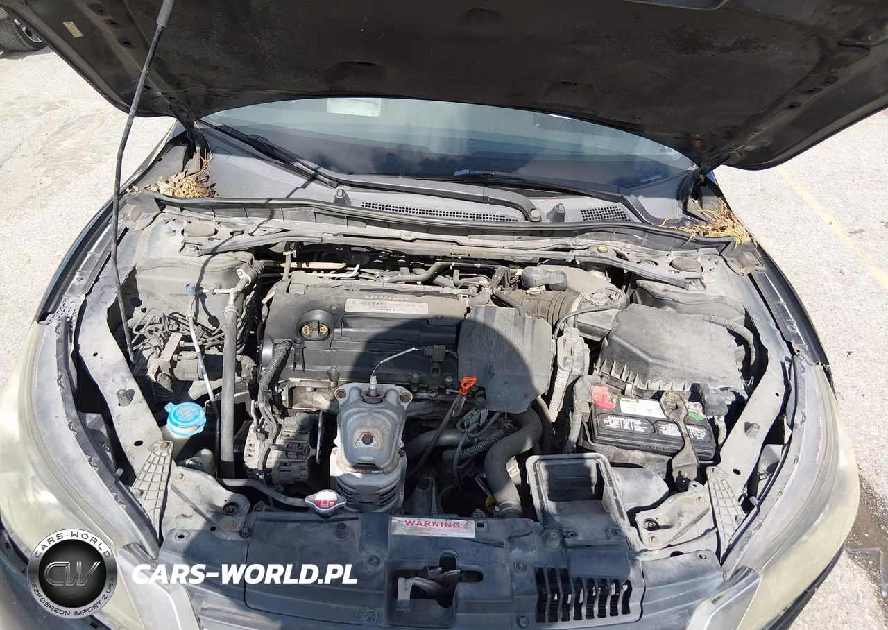 2013 Honda Accord Ex-L VIN:1HGCR2F88DA157398 - 10