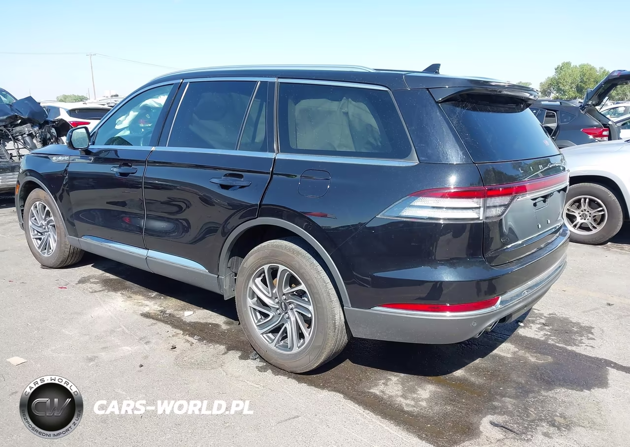2023 Lincoln Aviator Livery VIN:5LM5J0XC0PGL25759 - 3