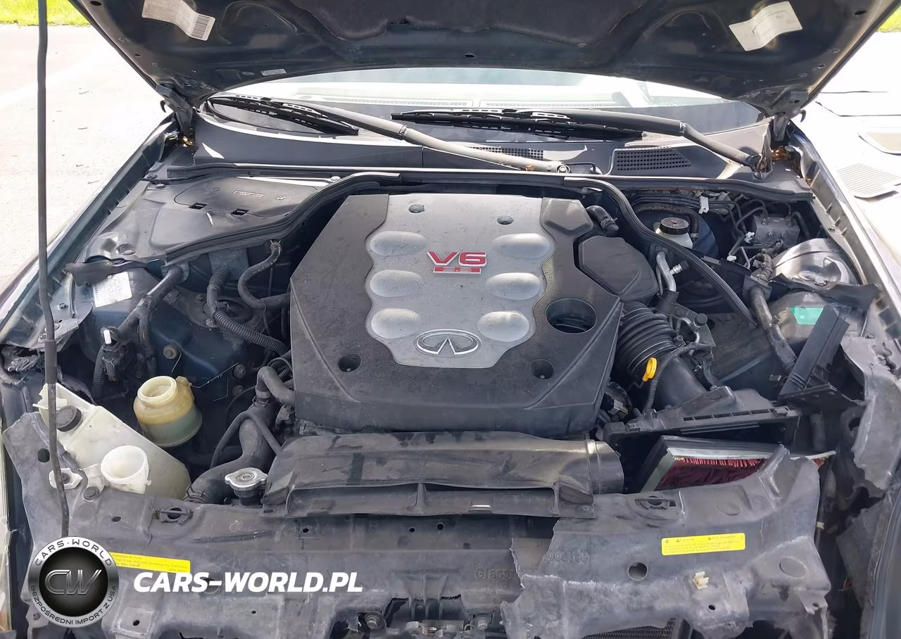 2004 Infiniti G35 VIN:JNKCV54E04M824269 - 10