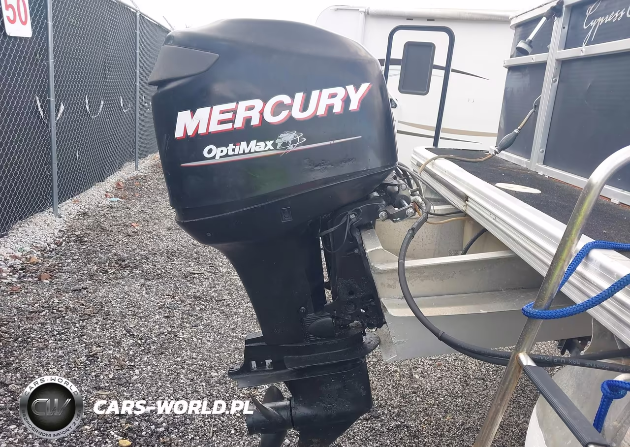 2010 Brunswick Family Boat Co Seabreeze VIN:HAMC2553I910 - 10