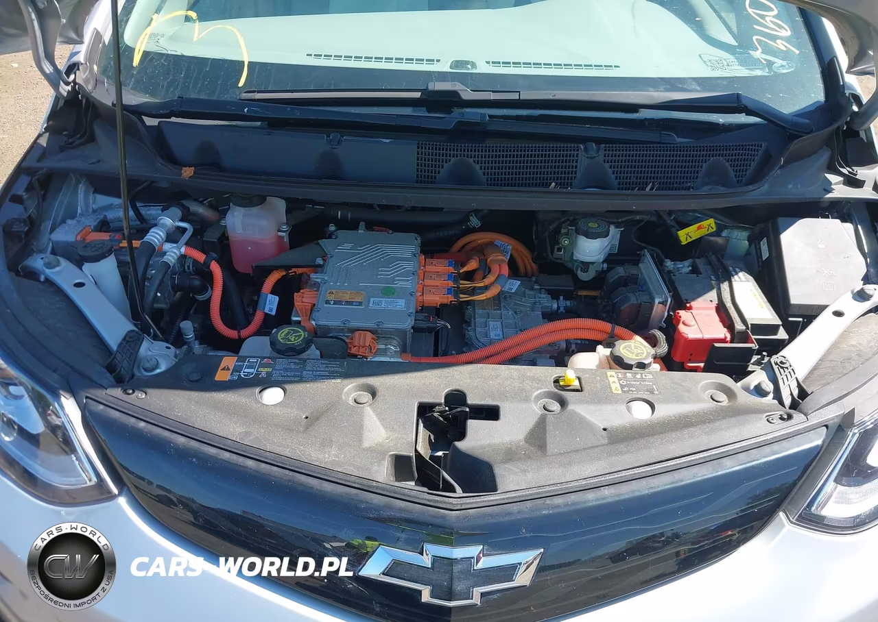 2017 Chevrolet Bolt Ev Premier VIN:1G1FX6S03H4172123 - 10