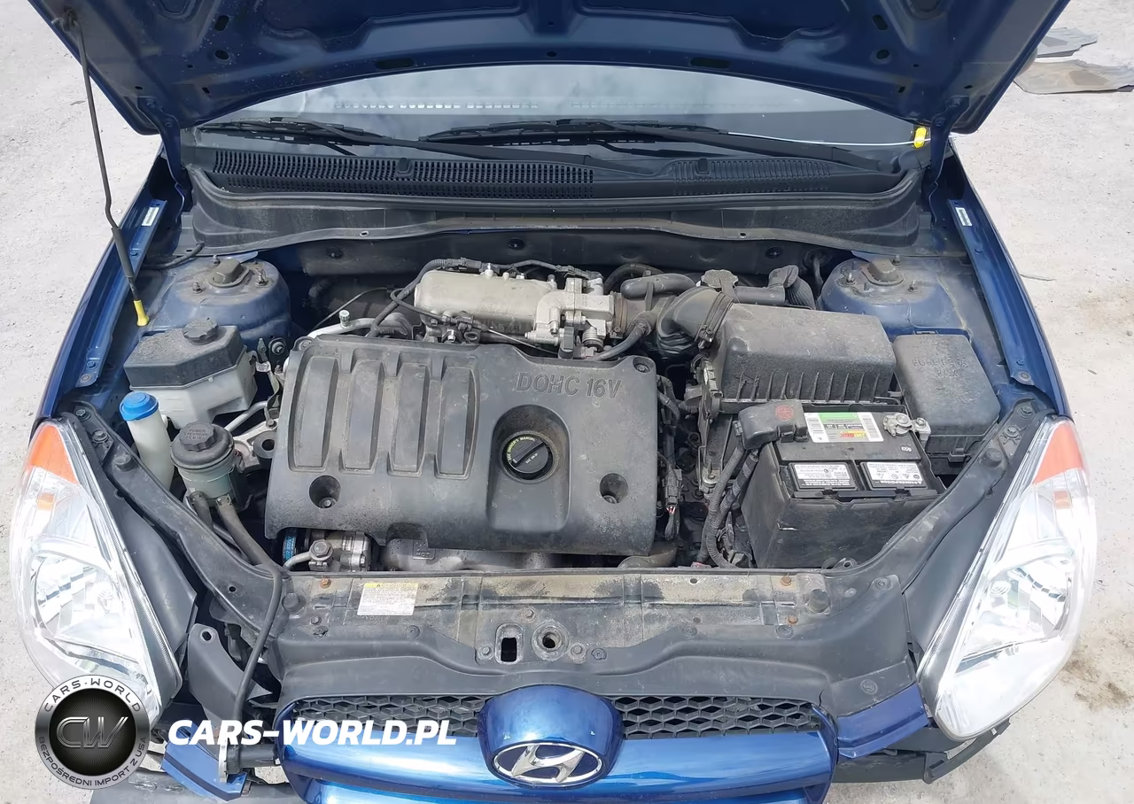 2010 Hyundai Accent Blue VIN:KMHCM3AC3AU165414 - 10