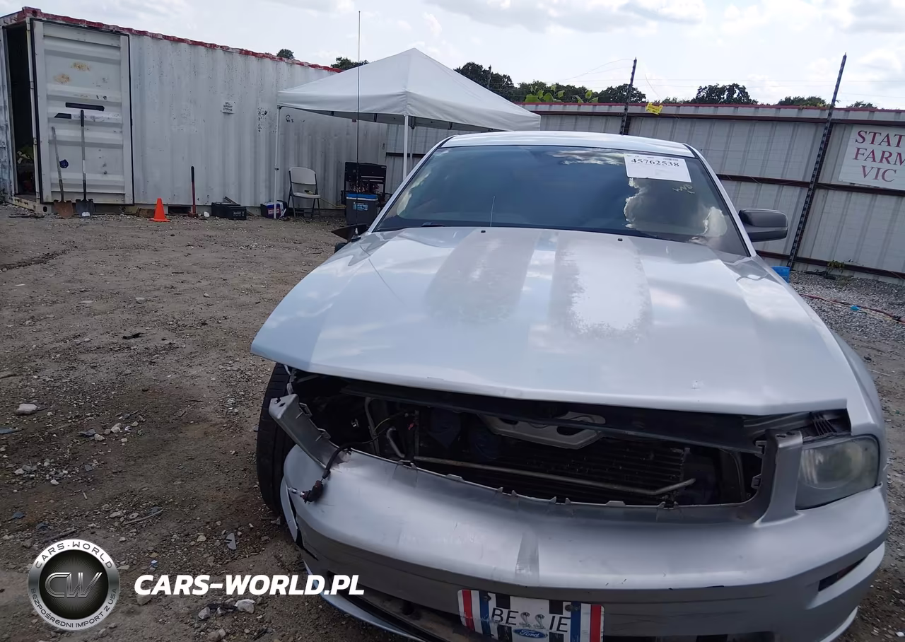 2009 Ford Mustang Gt-Gt Premium VIN:1ZVHT82H295119905 - 12