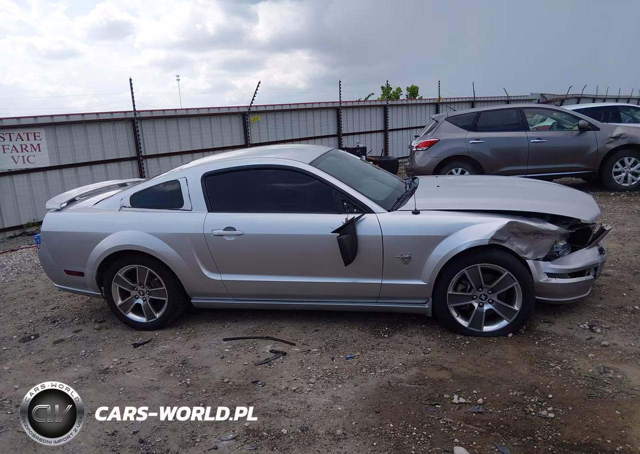 2009 Ford Mustang Gt-Gt Premium VIN:1ZVHT82H295119905 - 13