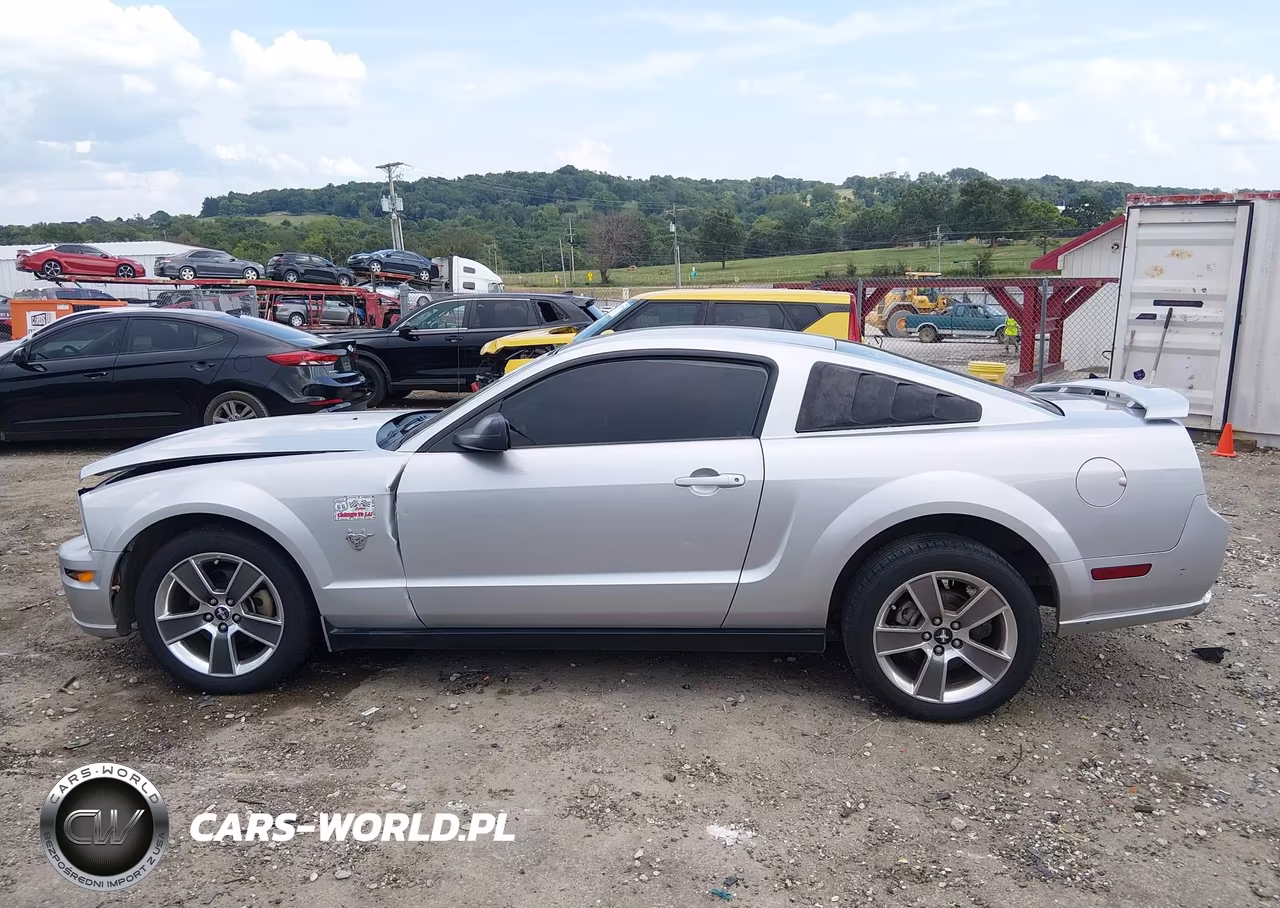2009 Ford Mustang Gt-Gt Premium VIN:1ZVHT82H295119905 - 14