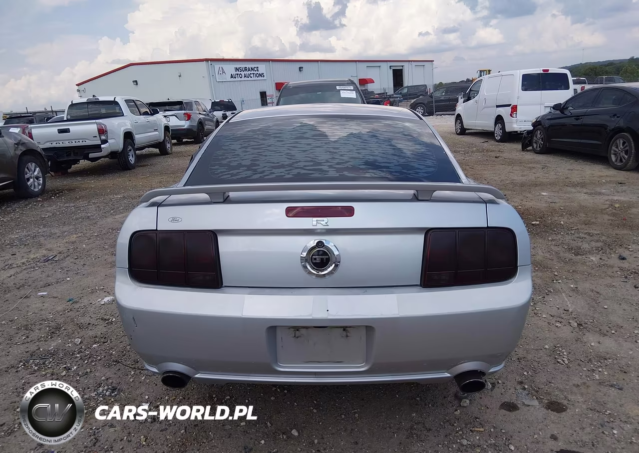 2009 Ford Mustang Gt-Gt Premium VIN:1ZVHT82H295119905 - 16
