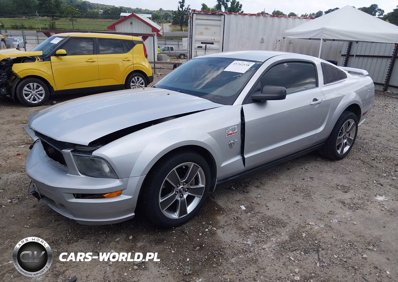 2009 Ford Mustang Gt-Gt Premium VIN:1ZVHT82H295119905 - 2