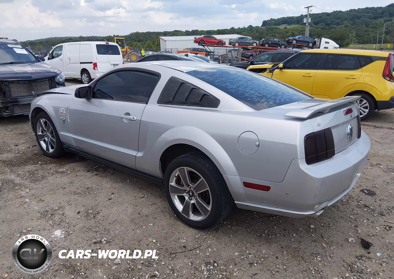 2009 Ford Mustang Gt-Gt Premium VIN:1ZVHT82H295119905 - 3