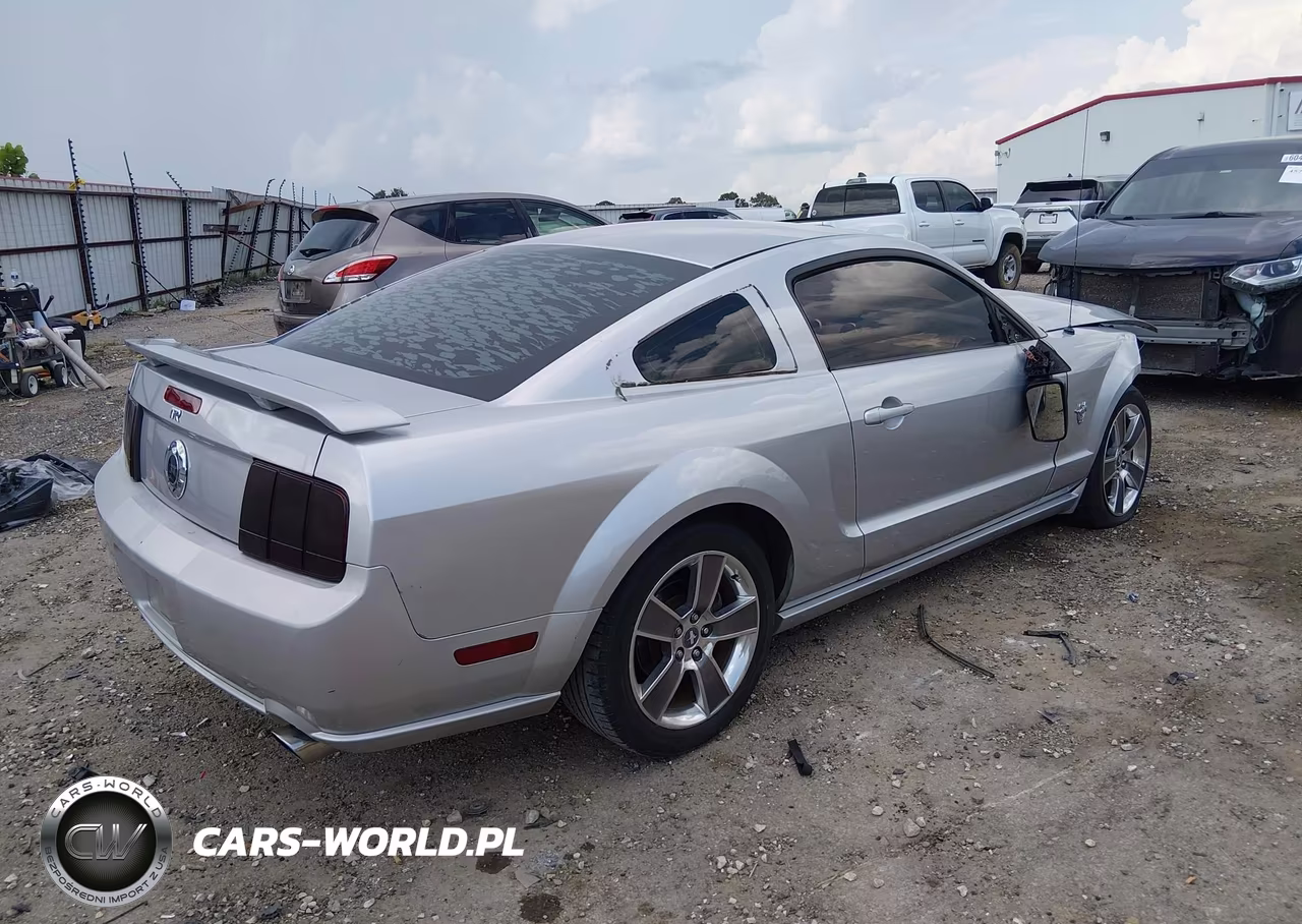 2009 Ford Mustang Gt-Gt Premium VIN:1ZVHT82H295119905 - 4