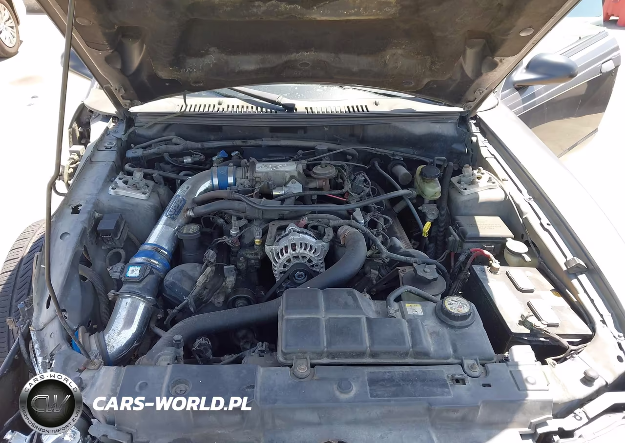 2003 Ford Mustang Gt VIN:1FAFP42X43F335227 - 10