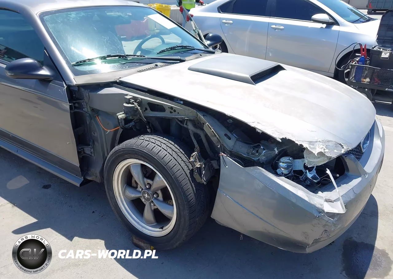 2003 Ford Mustang Gt VIN:1FAFP42X43F335227 - 6