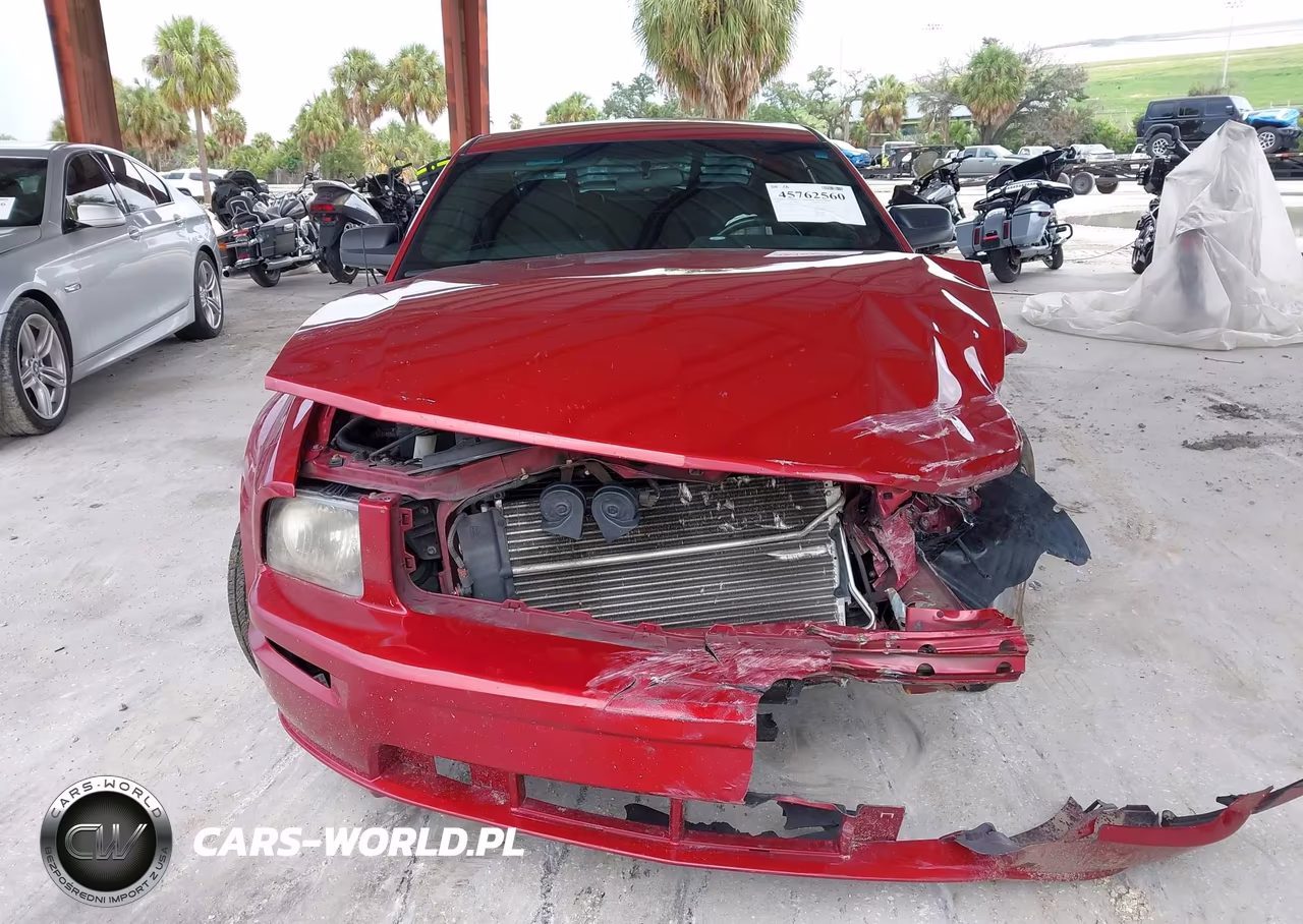2007 Ford Mustang Gt Deluxe-Gt Premium VIN:1ZVFT82H875366379 - 11
