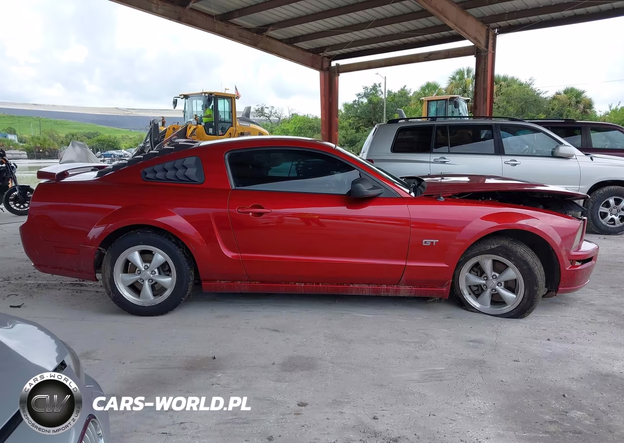 2007 Ford Mustang Gt Deluxe-Gt Premium VIN:1ZVFT82H875366379 - 12