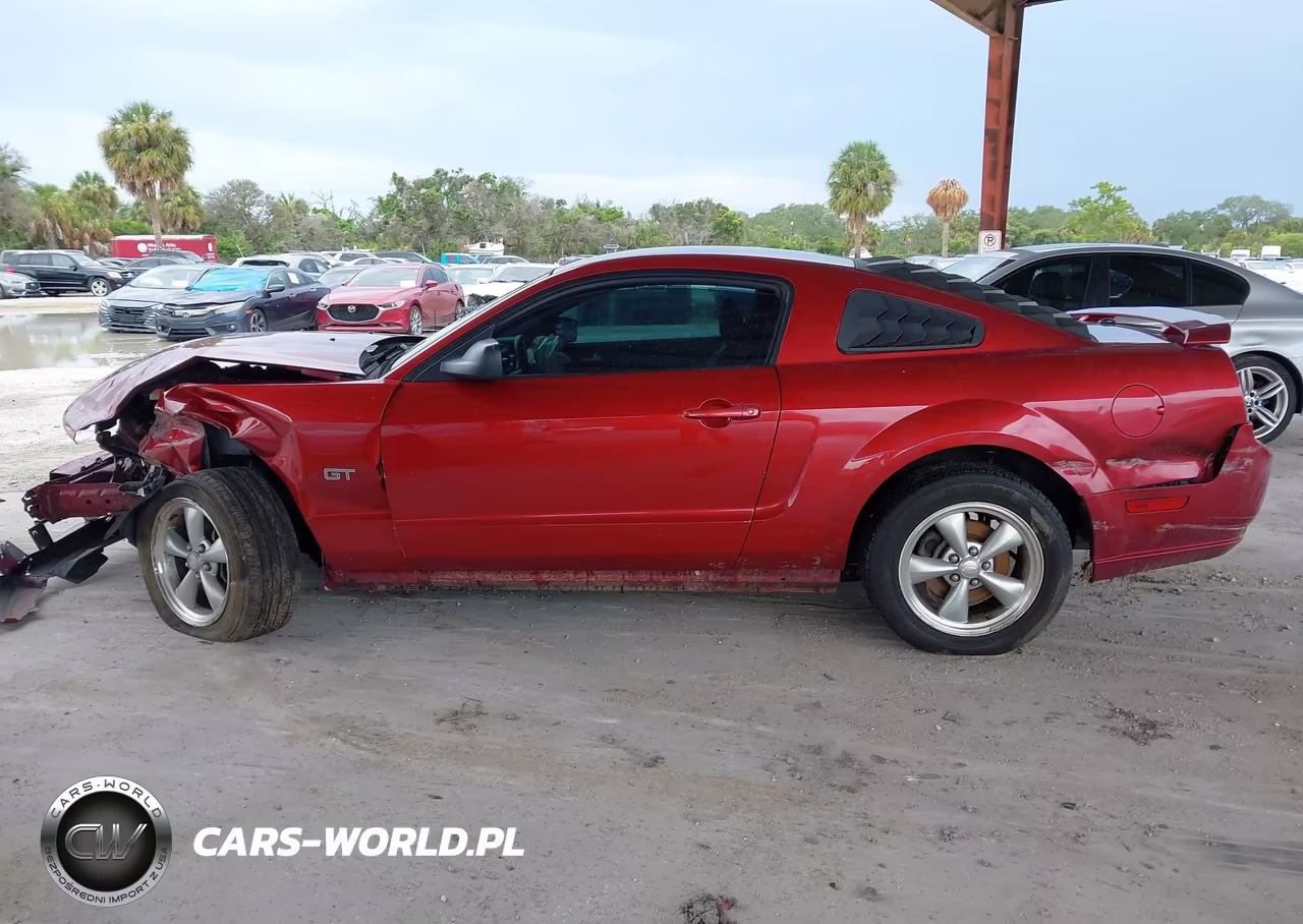 2007 Ford Mustang Gt Deluxe-Gt Premium VIN:1ZVFT82H875366379 - 13