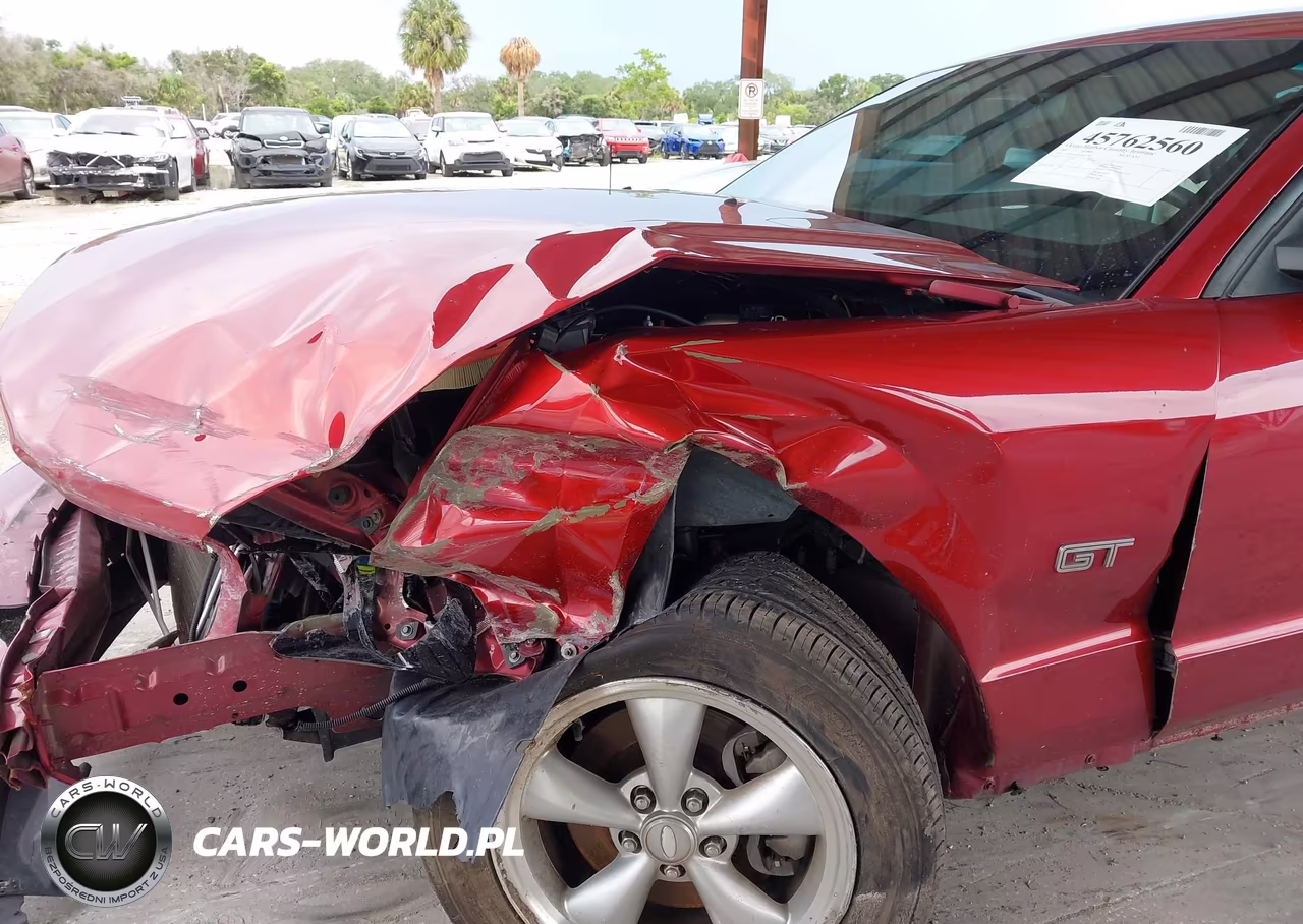 2007 Ford Mustang Gt Deluxe-Gt Premium VIN:1ZVFT82H875366379 - 17