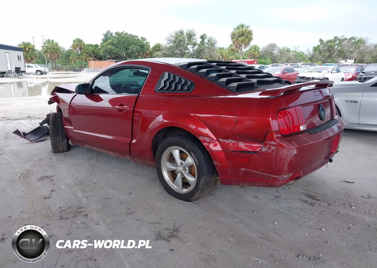 2007 Ford Mustang Gt Deluxe-Gt Premium VIN:1ZVFT82H875366379 - 3