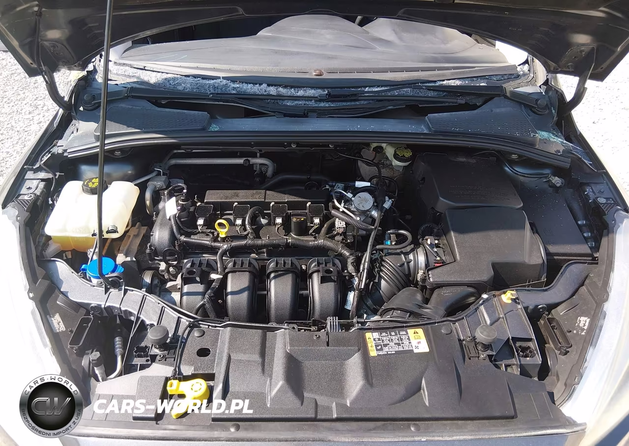 2016 Ford Focus Se VIN:1FADP3K23GL369642 - 10