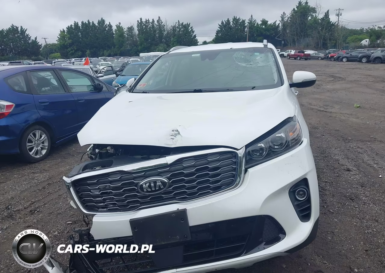 2019 Kia Sorento 3.3L Ex VIN:5XYPHDA53KG534860 - 12