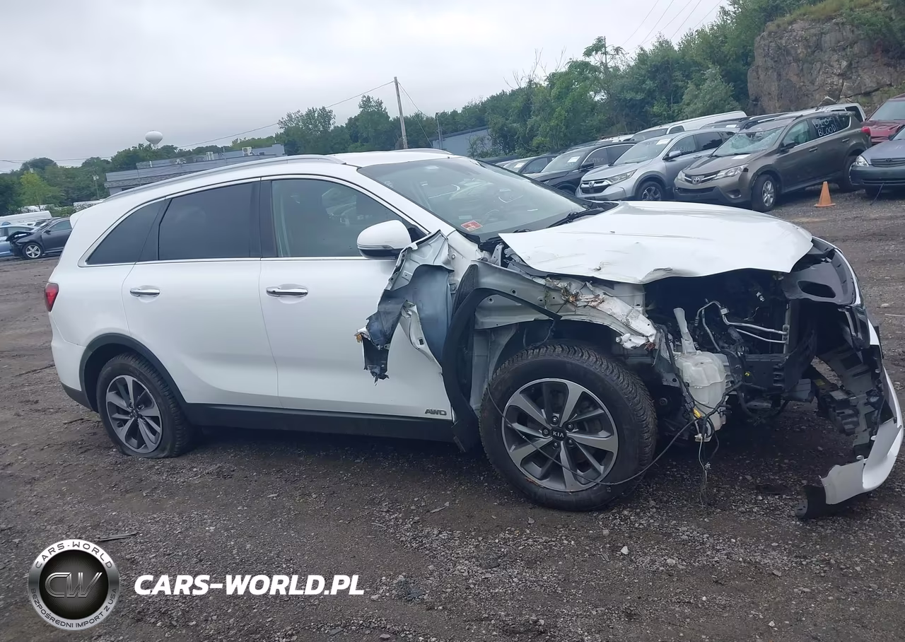 2019 Kia Sorento 3.3L Ex VIN:5XYPHDA53KG534860 - 13