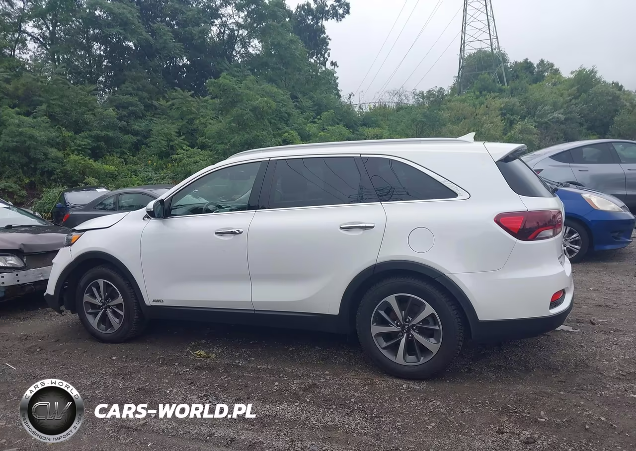 2019 Kia Sorento 3.3L Ex VIN:5XYPHDA53KG534860 - 14