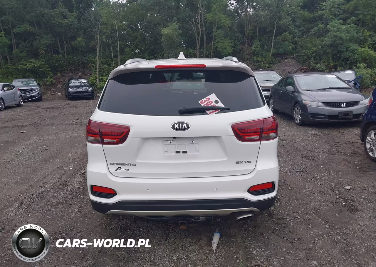 2019 Kia Sorento 3.3L Ex VIN:5XYPHDA53KG534860 - 16